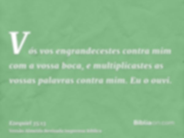 Vós vos engrandecestes contra mim com a vossa boca, e multiplicastes as vossas palavras contra mim. Eu o ouvi.