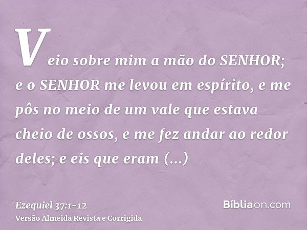 Veio sobre mim a mão do SENHOR; e o SENHOR me levou em espírito, e me pôs no meio de um vale que estava cheio de ossos,e me fez andar ao redor deles; e eis que 