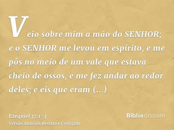 Veio sobre mim a mão do SENHOR; e o SENHOR me levou em espírito, e me pôs no meio de um vale que estava cheio de ossos,e me fez andar ao redor deles; e eis que 