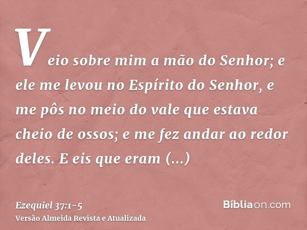 Veio sobre mim a mão do Senhor; e ele me levou no Espírito do Senhor, e me pôs no meio do vale que estava cheio de ossos;e me fez andar ao redor deles. E eis qu