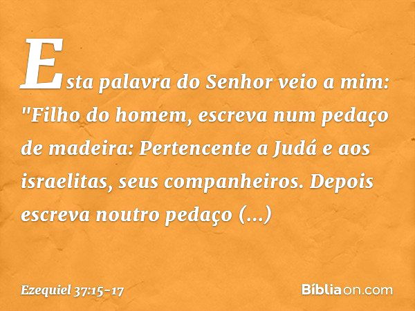 Esta palavra do Senhor veio a mim: "Fi­lho do homem, escreva num pedaço de madeira: Pertencente a Judá e aos israelitas, seus companheiros. Depois escreva noutr