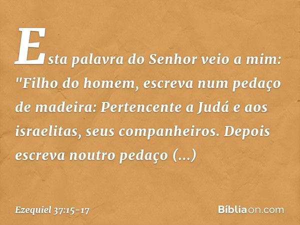 Esta palavra do Senhor veio a mim: "Fi­lho do homem, escreva num pedaço de madeira: Pertencente a Judá e aos israelitas, seus companheiros. Depois escreva noutr