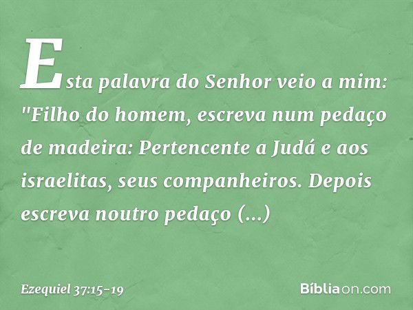 Esta palavra do Senhor veio a mim: "Fi­lho do homem, escreva num pedaço de madeira: Pertencente a Judá e aos israelitas, seus companheiros. Depois escreva noutr