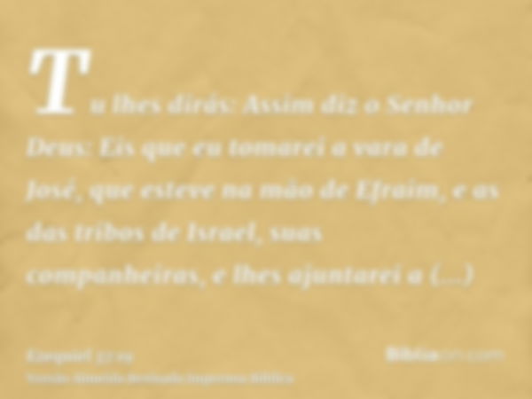 Tu lhes dirás: Assim diz o Senhor Deus: Eis que eu tomarei a vara de José, que esteve na mão de Efraim, e as das tribos de Israel, suas companheiras, e lhes aju