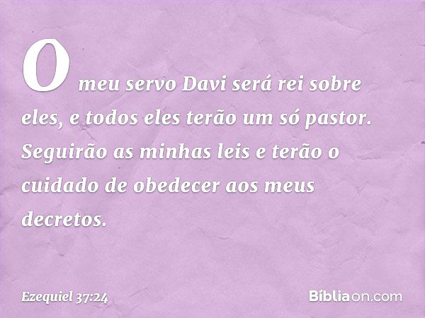 "O meu servo Davi será rei sobre eles, e todos eles terão um só pastor. Seguirão as minhas leis e terão o cuidado de obedecer aos meus decretos. -- Ezequiel 37: