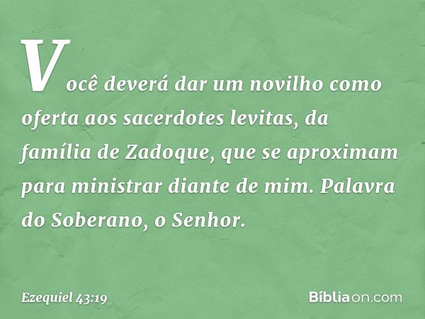 Você deverá dar um novilho como ofer­ta aos sacerdotes levitas, da família de Zadoque, que se aproximam para ministrar diante de mim. Palavra do Soberano, o Sen