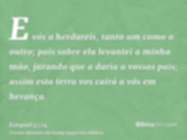 E vós a herdareis, tanto um como o outro; pois sobre ela levantei a minha mão, jurando que a daria a vossos pais; assim esta terra vos cairá a vós em herança.