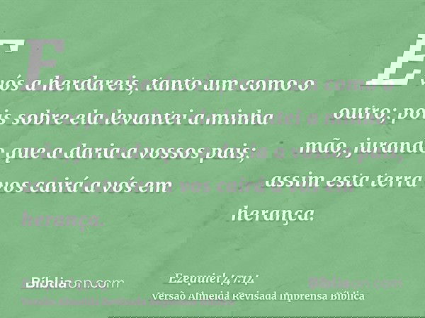 E vós a herdareis, tanto um como o outro; pois sobre ela levantei a minha mão, jurando que a daria a vossos pais; assim esta terra vos cairá a vós em herança.