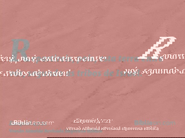 Repartireis, pois, esta terra entre vós, segundo as tribos de Israel.