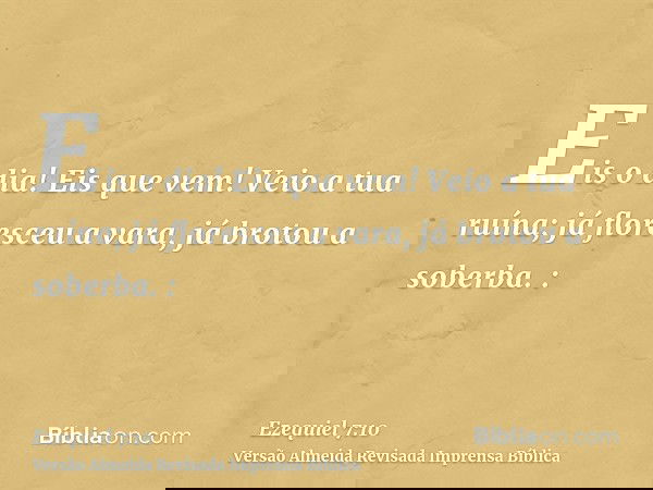 Eis o dia! Eis que vem! Veio a tua ruína; já floresceu a vara, já brotou a soberba. :