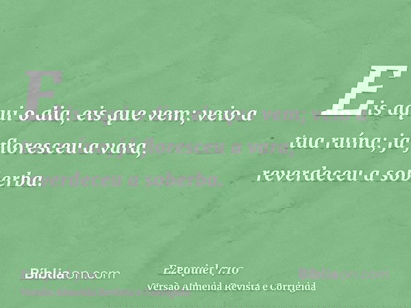 Eis aqui o dia, eis que vem; veio a tua ruína; já floresceu a vara, reverdeceu a soberba.