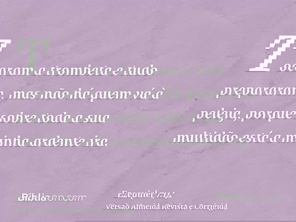 Tocaram a trombeta e tudo prepararam, mas não há quem vá à peleja, porque sobre toda a sua multidão está a minha ardente ira.