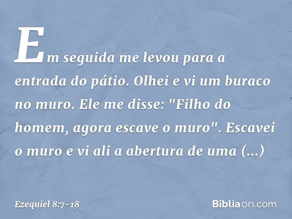 Em seguida me levou para a entrada do pátio. Olhei e vi um buraco no muro. Ele me disse: "Filho do homem, agora escave o muro". Escavei o muro e vi ali a abertu