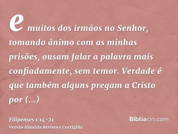 e muitos dos irmãos no Senhor, tomando ânimo com as minhas prisões, ousam falar a palavra mais confiadamente, sem temor.Verdade é que também alguns pregam a Cri