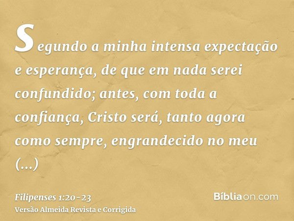 segundo a minha intensa expectação e esperança, de que em nada serei confundido; antes, com toda a confiança, Cristo será, tanto agora como sempre, engrandecido