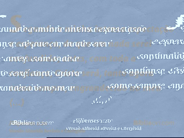 segundo a minha intensa expectação e esperança, de que em nada serei confundido; antes, com toda a confiança, Cristo será, tanto agora como sempre, engrandecido