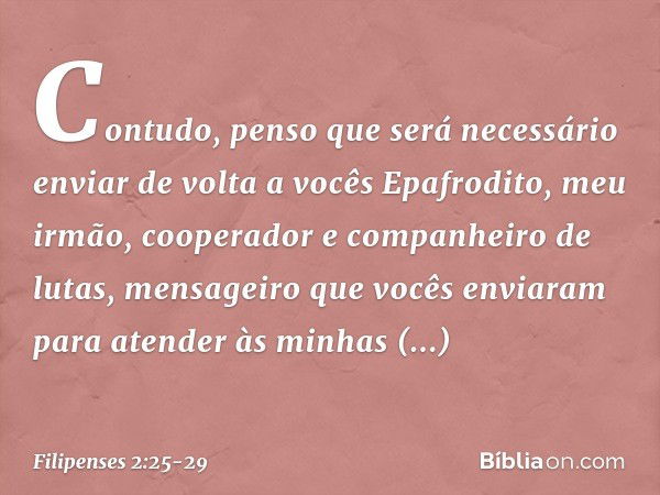 Contudo, penso que será necessário enviar de volta a vocês Epafrodito, meu irmão, cooperador e companheiro de lutas, mensageiro que vocês enviaram para atender 