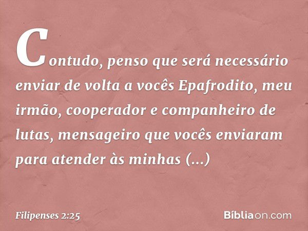 Contudo, penso que será necessário enviar de volta a vocês Epafrodito, meu irmão, cooperador e companheiro de lutas, mensageiro que vocês enviaram para atender 