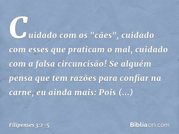 Cuidado com os "cães", cuidado com esses que praticam o mal, cuidado com a falsa circuncisão!
Se alguém pensa que tem razões para confiar na carne, eu ainda mai