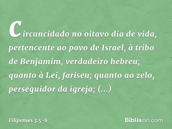 circuncidado no oitavo dia de vida, pertencente ao povo de Israel, à tribo de Benjamim, verdadeiro hebreu; quanto à Lei, fariseu; quanto ao zelo, perseguidor da