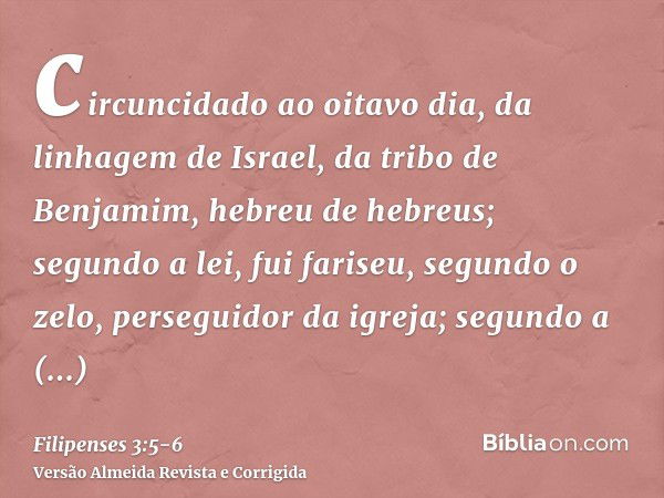 circuncidado ao oitavo dia, da linhagem de Israel, da tribo de Benjamim, hebreu de hebreus; segundo a lei, fui fariseu,segundo o zelo, perseguidor da igreja; se