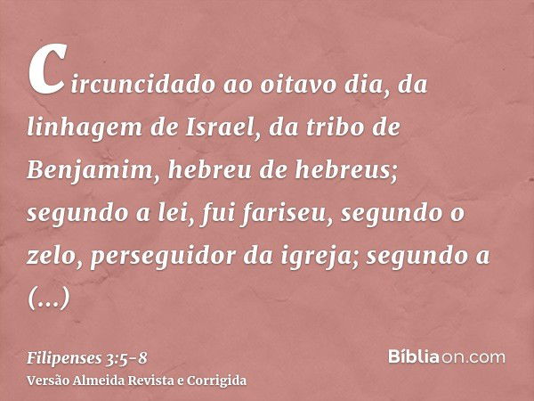 circuncidado ao oitavo dia, da linhagem de Israel, da tribo de Benjamim, hebreu de hebreus; segundo a lei, fui fariseu,segundo o zelo, perseguidor da igreja; se