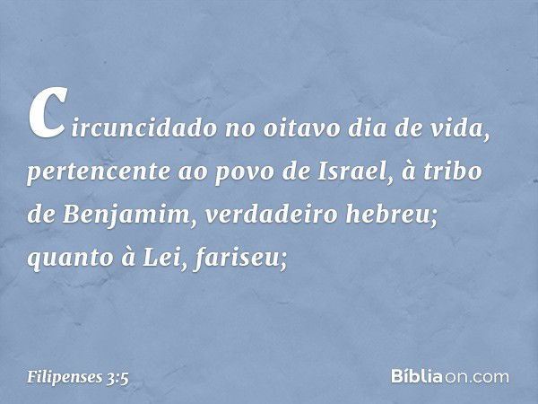 circuncidado no oitavo dia de vida, pertencente ao povo de Israel, à tribo de Benjamim, verdadeiro hebreu; quanto à Lei, fariseu; -- Filipenses 3:5