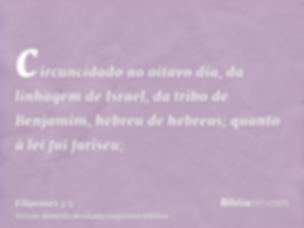 circuncidado ao oitavo dia, da linhagem de Israel, da tribo de Benjamim, hebreu de hebreus; quanto à lei fui fariseu;