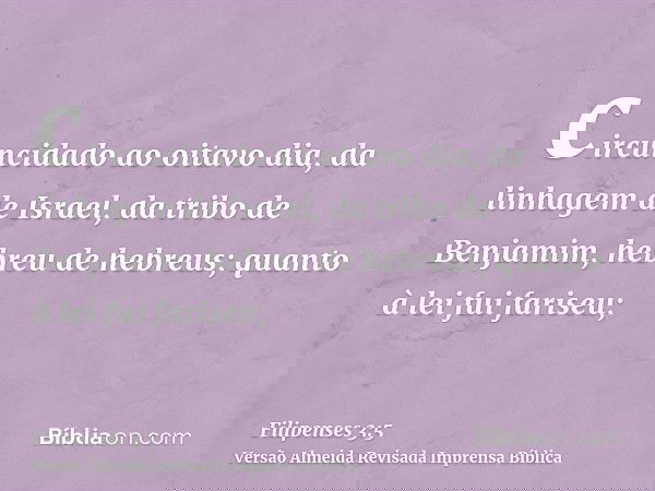 circuncidado ao oitavo dia, da linhagem de Israel, da tribo de Benjamim, hebreu de hebreus; quanto à lei fui fariseu;