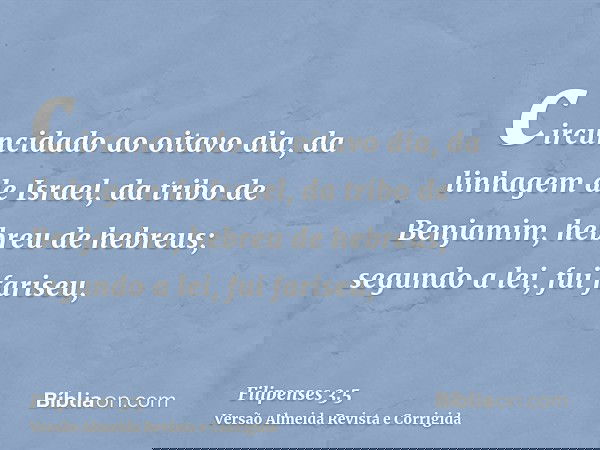 circuncidado ao oitavo dia, da linhagem de Israel, da tribo de Benjamim, hebreu de hebreus; segundo a lei, fui fariseu,