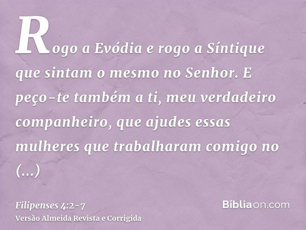 Rogo a Evódia e rogo a Síntique que sintam o mesmo no Senhor.E peço-te também a ti, meu verdadeiro companheiro, que ajudes essas mulheres que trabalharam comigo