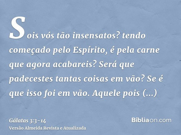 Sois vós tão insensatos? tendo começado pelo Espírito, é pela carne que agora acabareis?Será que padecestes tantas coisas em vão? Se é que isso foi em vão.Aquel