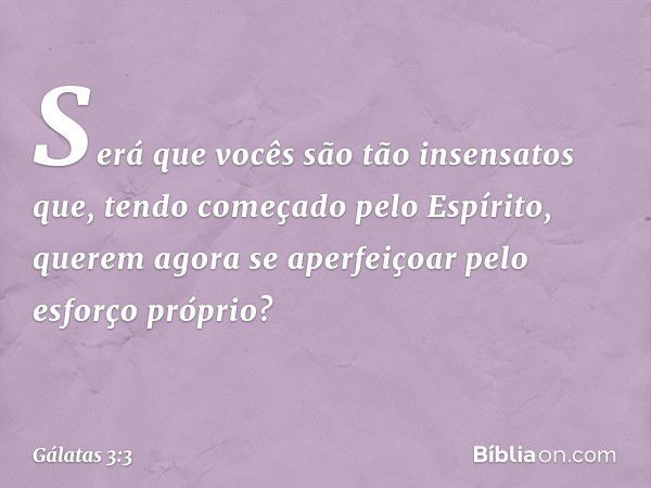 Será que vocês são tão insensatos que, tendo começado pelo Espírito, querem agora se aperfeiçoar pelo esforço próprio? -- Gálatas 3:3