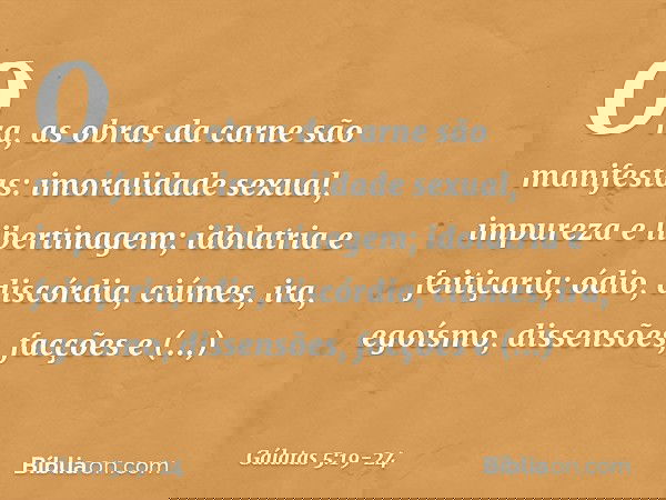 Ora, as obras da carne são manifestas: imoralidade sexual, impureza e libertinagem; idolatria e feitiçaria; ódio, discórdia, ciúmes, ira, egoísmo, dissensões, f