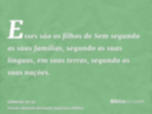 Esses são os filhos de Sem segundo as suas famílias, segundo as suas línguas, em suas terras, segundo as suas nações.