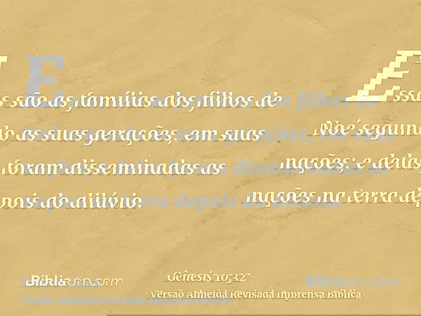 Essas são as famílias dos filhos de Noé segundo as suas gerações, em suas nações; e delas foram disseminadas as nações na terra depois do dilúvio.