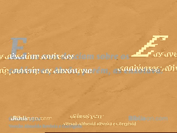 E as aves desciam sobre os cadáveres; Abrão, porém, as enxotava.