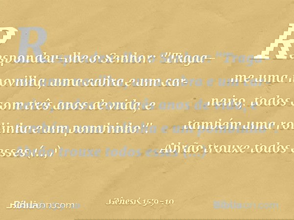 Respondeu-lhe o Senhor: "Traga-me uma novilha, uma cabra e um carneiro, todos com três anos de vida, e também uma rolinha e um pombinho". Abrão trouxe todos e