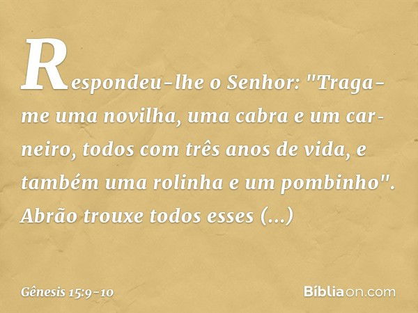 Respondeu-lhe o Senhor: "Traga-me uma novilha, uma cabra e um car­neiro, todos com três anos de vida, e também uma rolinha e um pombi­nho". Abrão trouxe todos e