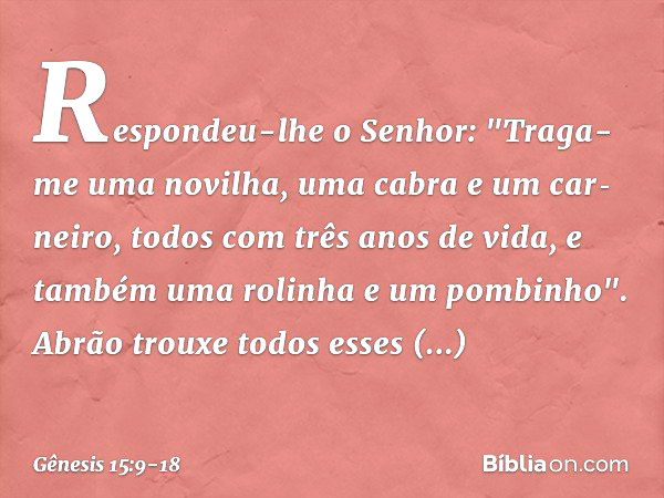 Respondeu-lhe o Senhor: "Traga-me uma novilha, uma cabra e um car­neiro, todos com três anos de vida, e também uma rolinha e um pombi­nho". Abrão trouxe todos e