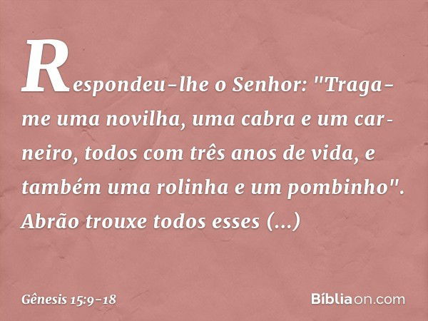 Respondeu-lhe o Senhor: "Traga-me uma novilha, uma cabra e um car­neiro, todos com três anos de vida, e também uma rolinha e um pombi­nho". Abrão trouxe todos e