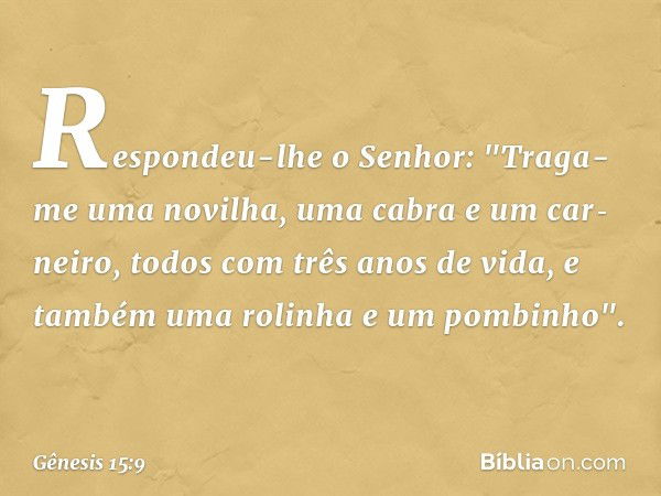 Respondeu-lhe o Senhor: "Traga-me uma novilha, uma cabra e um car­neiro, todos com três anos de vida, e também uma rolinha e um pombi­nho". -- Gênesis 15:9