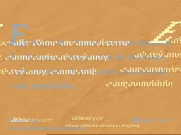 E disse-lhe: Toma-me uma bezerra de três anos, e uma cabra de três anos, e um carneiro de três anos, e uma rola, e um pombinho.