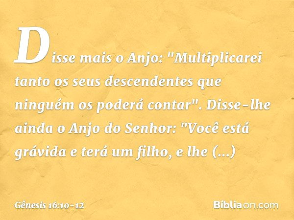 Disse mais o Anjo: "Multiplicarei tanto os seus descendentes que ninguém os poderá contar". Disse-lhe ainda o Anjo do Senhor:
"Você está grávida e terá um filho