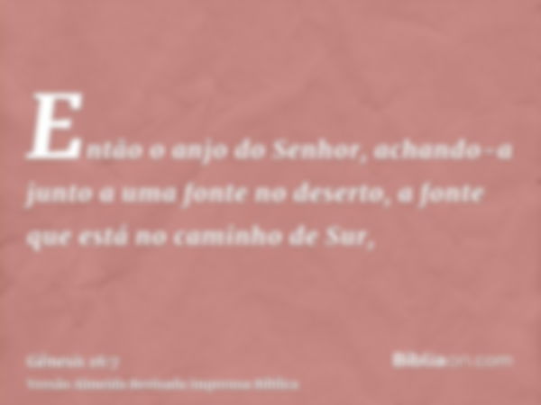 Então o anjo do Senhor, achando-a junto a uma fonte no deserto, a fonte que está no caminho de Sur,