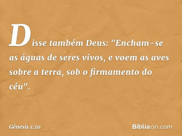 Disse também Deus: "Encham-se as águas de seres vivos, e voem as aves sobre a terra, sob o firmamento do céu". -- Gênesis 1:20