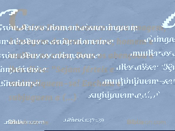Criou Deus o homem à sua imagem,
à imagem de Deus o criou;
homem e mulher os criou. Deus os abençoou e lhes disse: "Sejam férteis e multipliquem-se! Encham e su