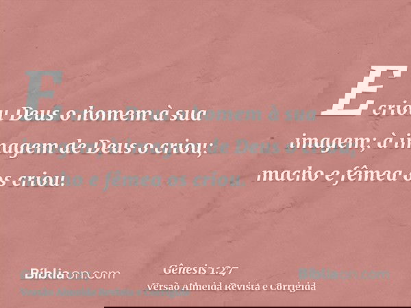 E criou Deus o homem à sua imagem; à imagem de Deus o criou; macho e fêmea os criou.