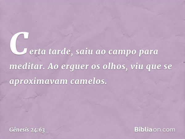 Certa tarde, saiu ao campo para meditar. Ao erguer os olhos, viu que se aproximavam camelos. -- Gênesis 24:63