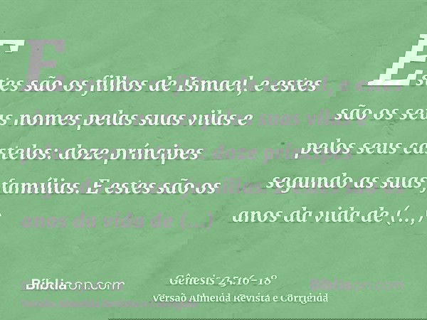 Estes são os filhos de Ismael, e estes são os seus nomes pelas suas vilas e pelos seus castelos: doze príncipes segundo as suas famílias.E estes são os anos da 